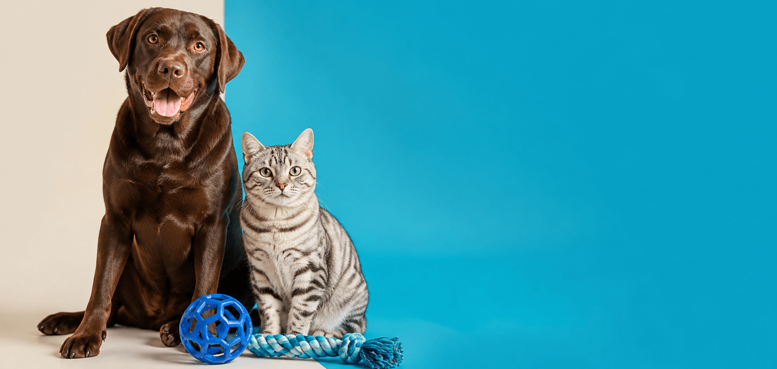 PETLF everyday pet essentials